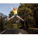 BERG Grand Favorit Trampolin oval 520x345cm - schwarz
